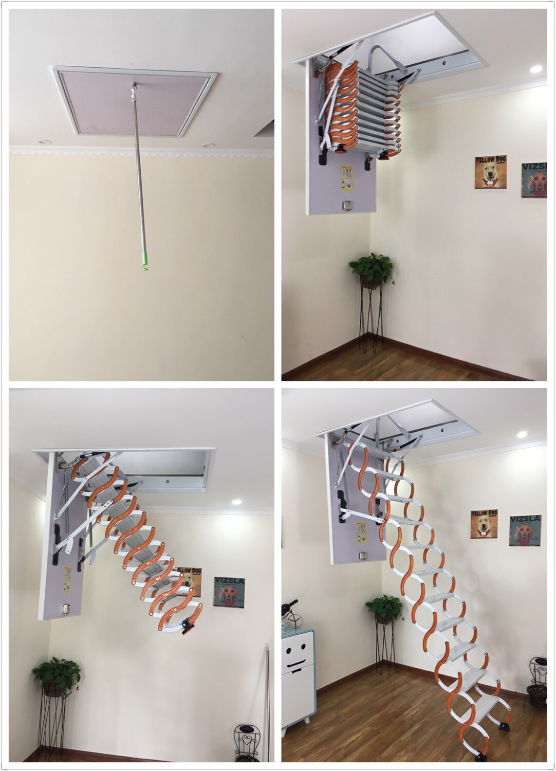 微信圖片_20181101094945